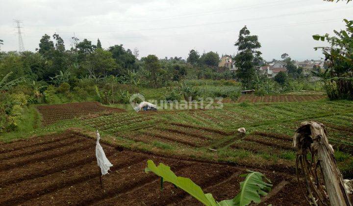 Tanah di Jalan Permana Cimahi, Bandung Barat SHM 3.402 m² 1