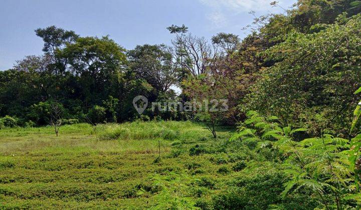 Tanah Hutan Kota Belanda Strategis Di Jejalenjaya Tambun Utara Bekasi 2