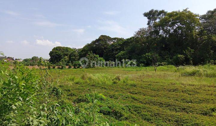 Tanah Hutan Kota Belanda Strategis Di Jejalenjaya Tambun Utara Bekasi 1