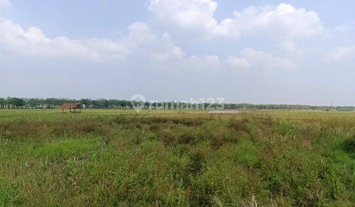 Tanah di Mekarjaya Kertajati Pinggir Tol Cipali-Palimanan KM 150 2