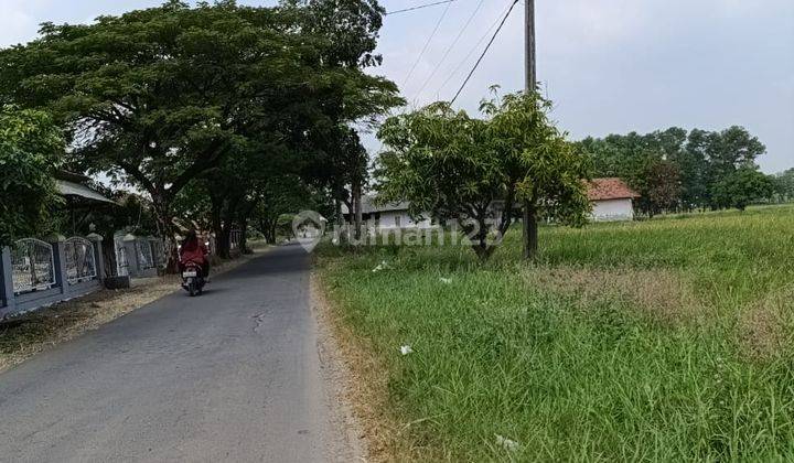 Tanah di Mekarjaya Kertajati Pinggir Tol Cipali-Palimanan KM 150 1