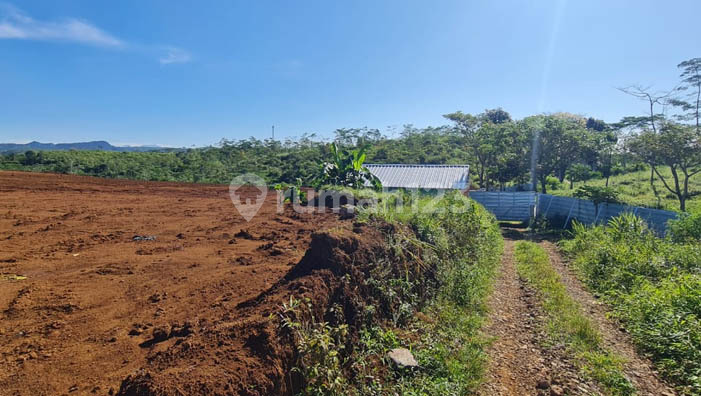 Cianjur Land Area 56 Hectares, Ciroyom Block, Sukaresmi, Kadupandak District Cianjur Land Area 56 Hectares, Ciroyom Block, Sukaresmi, Kadupandak District