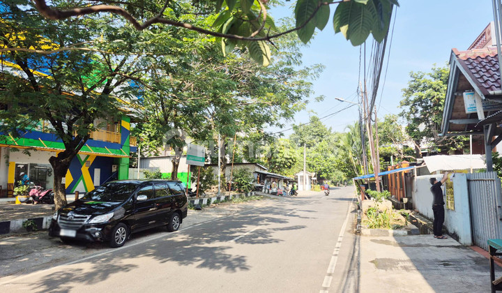 Single-story House, Eucalyptus 2