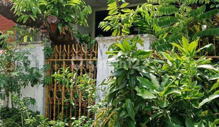 Rumah Di Jln. Kesehatan Jakarta Pusat Luas 10x20 Lokasi Strategis 2