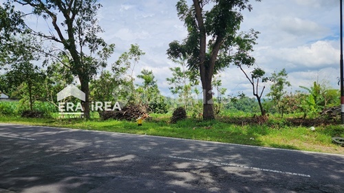 For Sale, Yard Land Near Karangpandan Market For Sale, Yard Land Near Karangpandan Market