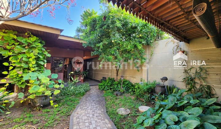 Dijual Ruang Usaha Murah di Solo Dekat Pasar Jongle Dijual Ruang Usaha Murah di Solo Dekat Pasar Jongle