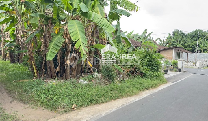 Tanah Murah Strategis Dekat Kraton Kartasura Solo Tanah Murah Strategis Dekat Kraton Kartasura Solo