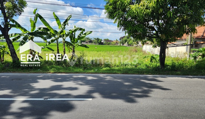 Dijual Tanah Strategis Di Sragen Masaran Dekat Pasar Masaran