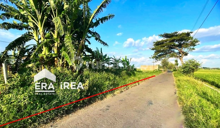 Jual Tanah Di Sukoharjo 200 Meter Dari Kantor Kelurahan Gatak
