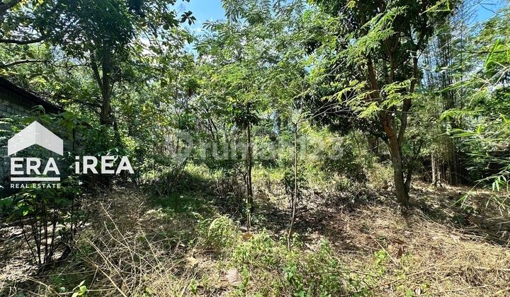 Land and Warehouse for Sale in Pasar Sambi Area, Boyolali Land and Warehouse for Sale in Pasar Sambi Area, Boyolali