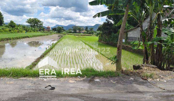 Tanah Dijual Di Bantul Dekat Pasar Piyungan 2