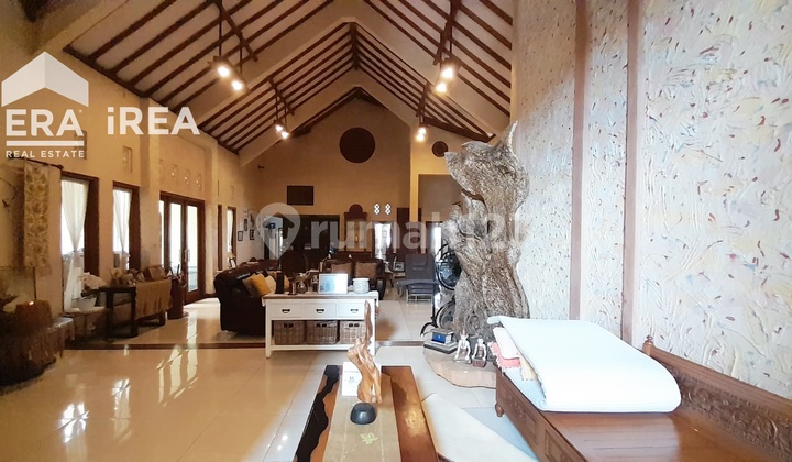 Rumah dan Ruang Usaha Area Pucangan Sukoharjo