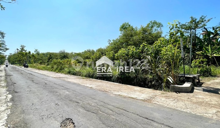 Land for Sale Cheap in Pasar Sambi Area, Jagoan Sambi
