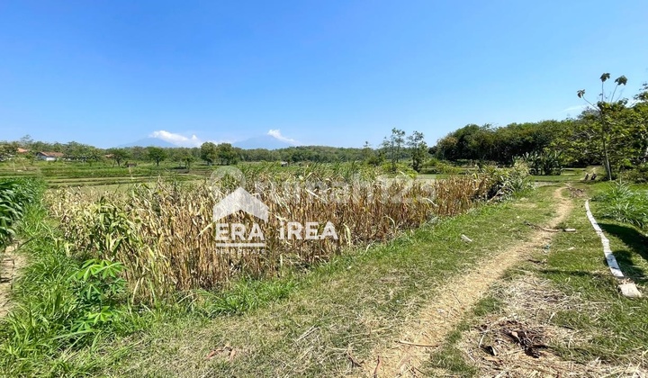 Cheap Land for Sale in Pasar Sambi Boyolali Area with Truck Access