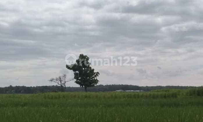 Subang Industrial Land