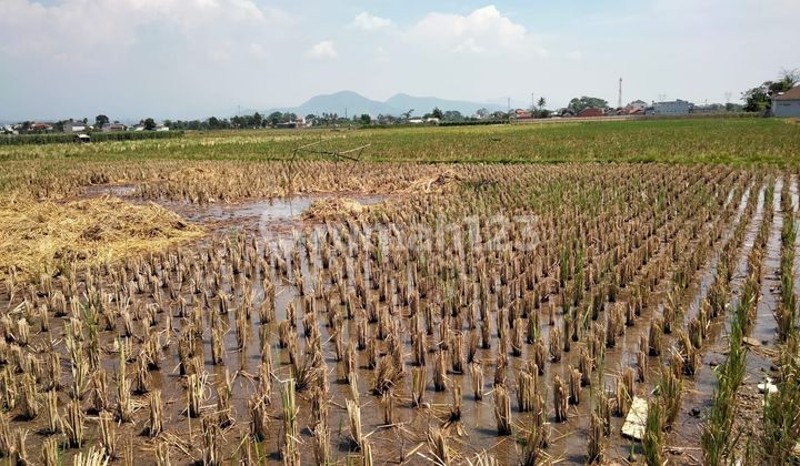 Tanah Majalaya Strategis * Tanah Majalaya Strategis *