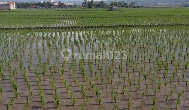 Tanah Rancaekek Strategis *