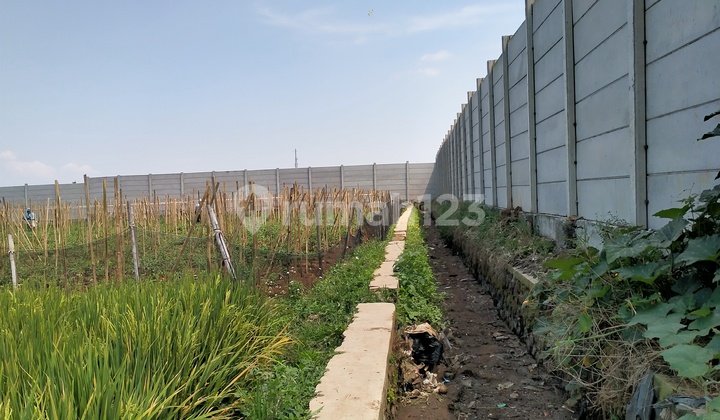 Tanah Rancaekek * Tanah Rancaekek *