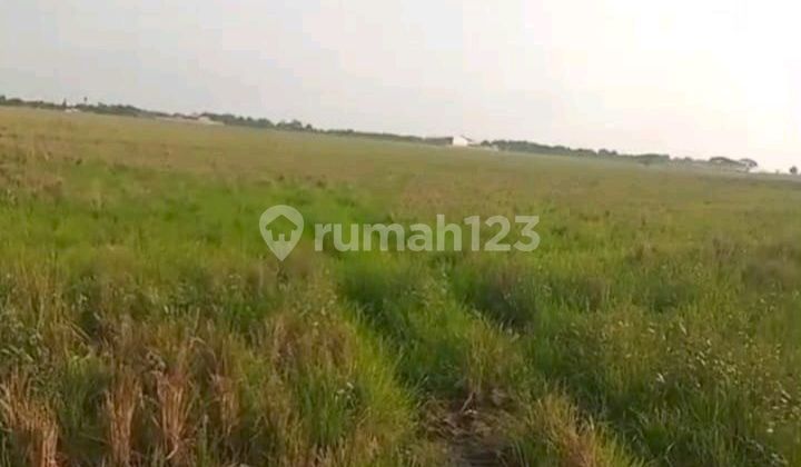 Tanah Subang Industri *