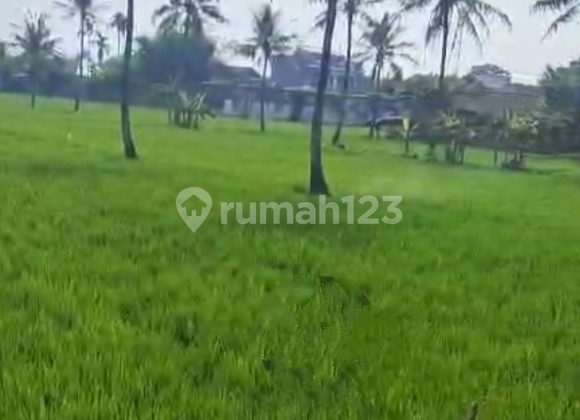 Tanah Laswi Baleendah Tanah Laswi Baleendah