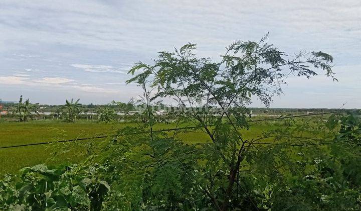 Tanah Industri Cirebon * 2