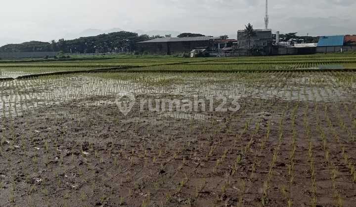 Tanah Rancaekek Strategis *