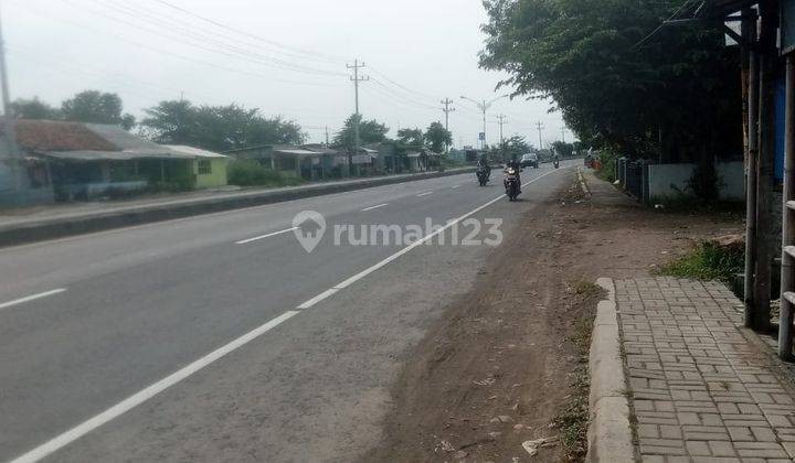 Tanah Industri Brebes * 1