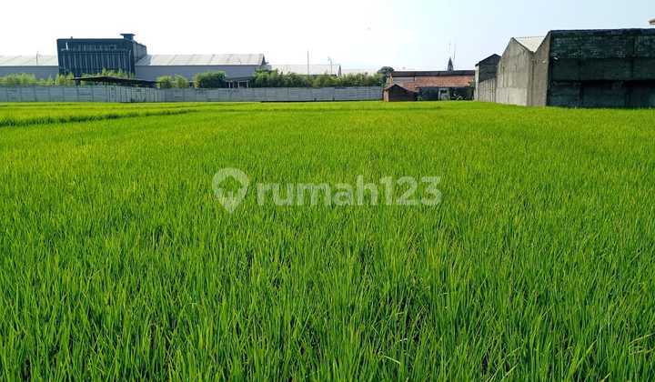 Tanah Rancaekek Industri * Tanah Rancaekek Industri *