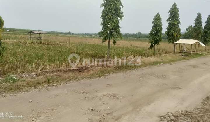 Purwakarta Industrial Land* Purwakarta Industrial Land*