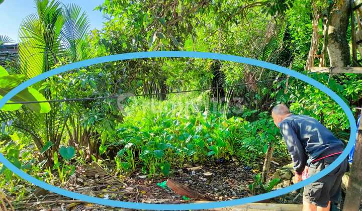 Murah Tanah Kosong Jl Perintis Kemerdekaan Makassar 600.0 M² SHM