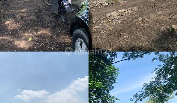 Dijual Tambak Udang Vaname Dan Bandeng Jalan Perikanan, Kalianyar, Bangil Pasuruan 2