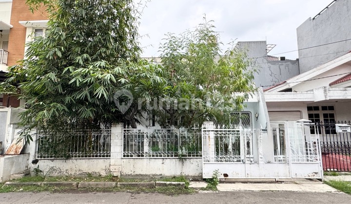 Rumah Kelapa Nias, Kelapa Gading