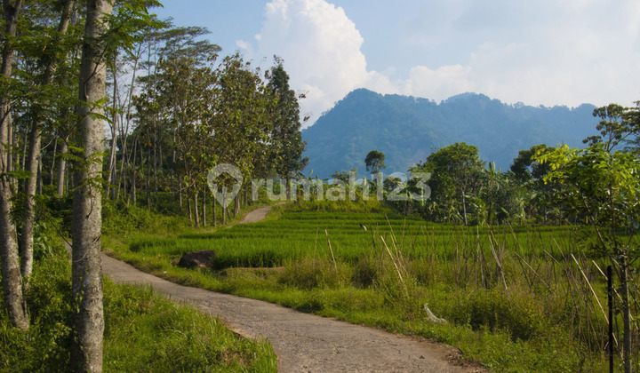 Dijual Tanah di Sentul Jawa Barat