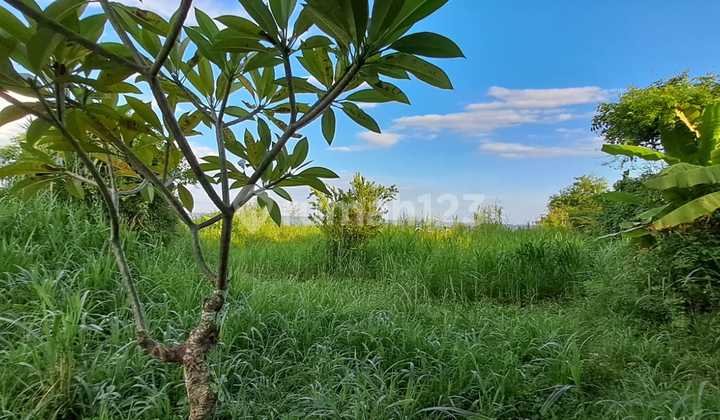 Dijual Tanah Exclusive Front At Manyar Beach 5