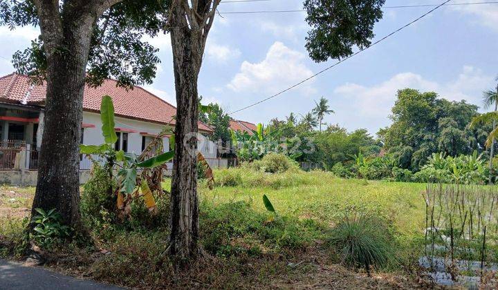 Tanah Luas, Cocok Untuk Tempat Tinggal dan Usaha, Ngaglik 2