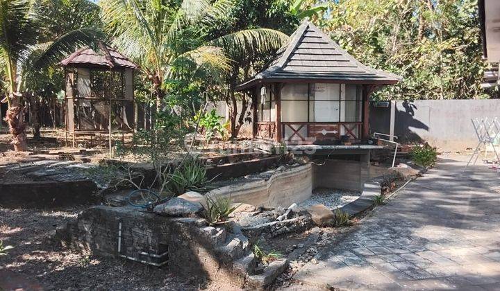 Rumah Cantik, Lahan Luas, Lingkungan Asri Pedesaan, Sedayu, Bangunjiwo 2