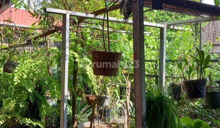 Rumah Model Lama Dengan Lokasi Strategis, Dekat Kampus 2