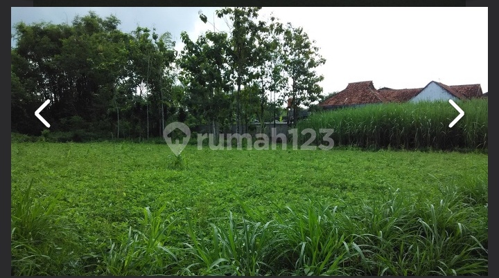 Kavling Dijual Lt. 200 Banjar Wijaya Kavling Dijual Lt. 200 Banjar Wijaya