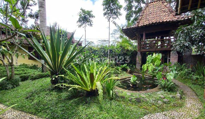Villa Dan Resto Dengan Desain Tradisional Jawa View Sawah Daerah Wisata Magelang 13