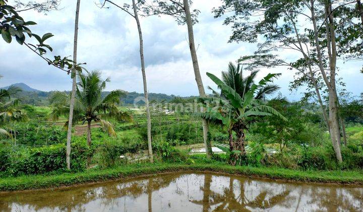 Villa Dan Resto Dengan Desain Tradisional Jawa View Sawah Daerah Wisata Magelang 16