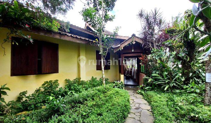 Villa Dan Resto Dengan Desain Tradisional Jawa View Sawah Daerah Wisata Magelang 2