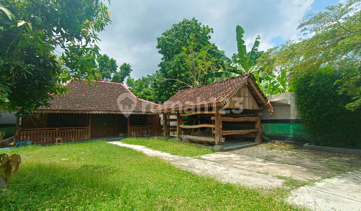 Rumah Tinggal Semi Furnish Bernuansa Jawa Dekat Jiwajawi Resto Jogja, Bangunjiwo, Kasihan, Bantul Rumah Tinggal Semi Furnish Bernuansa Jawa Dekat Jiwajawi Resto Jogja, Bangunjiwo, Kasihan, Bantul