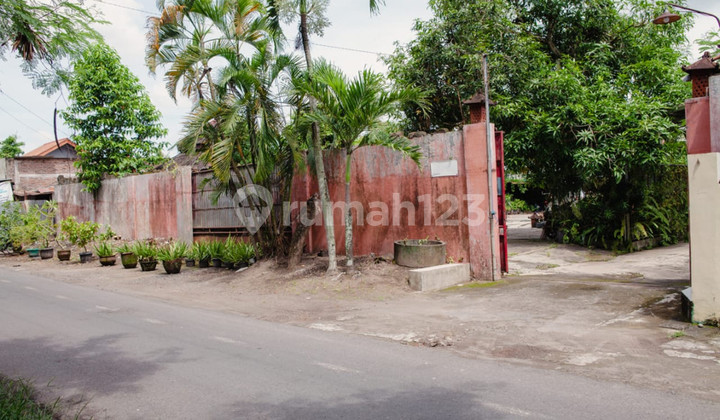 House & Warehouse 2518 Square Meters Near Grabah Museum Sewon Bantul 2