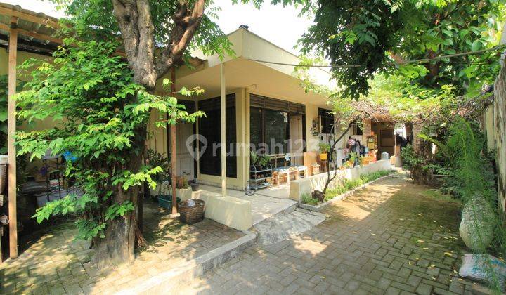 Rumah 5 Kamar Di Tengah Kota Jl Diponegoro, Yogayakarta 1