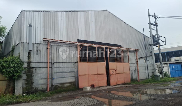 Gudang Bumi Maspion Romokalisari Near Toll Exit Gate