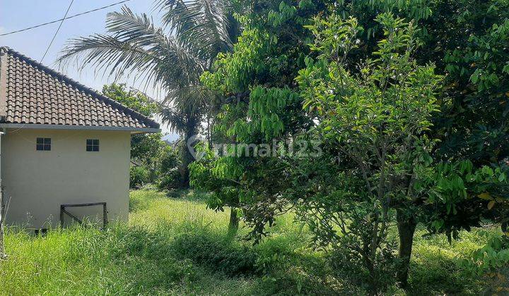 Tanah Matang dan Sawah di Cilengkrang Ujungberung 2