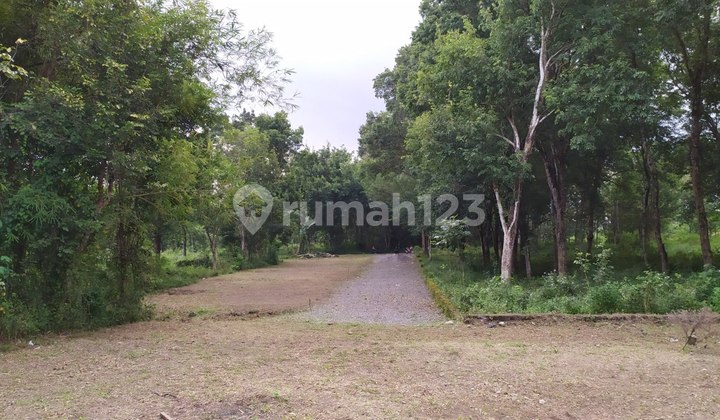 Kavling Tanah Di Jual Kaliurang Utara Rs Gramedika, Luas 100 an  3