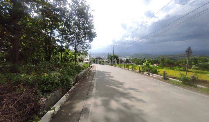 Tanah Mangku Jl. Candi Ijo, Cocok Ruko, SHM 1