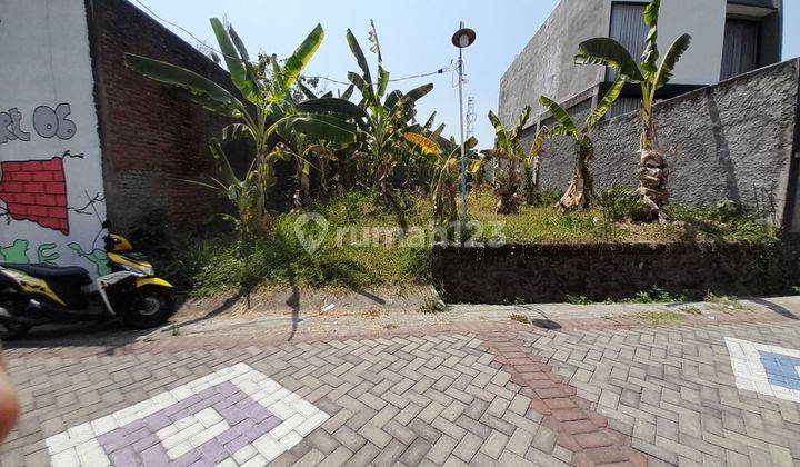 Tanah 200 m² SHM Dekat Jalan Raya Elang Sambiroto Semarang 2