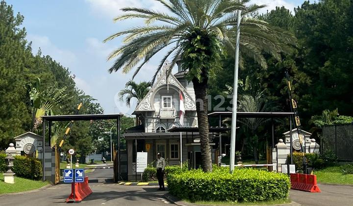 Rare Body Lots, Cluster, BSD